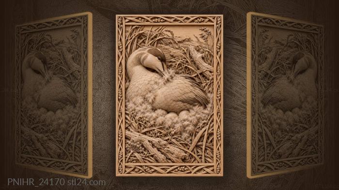 Eider duck nesting tender moment 3d STL model