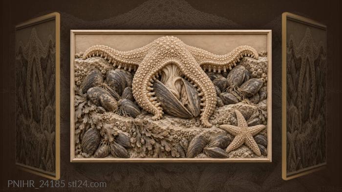 Starfish prises a mussel on ledge 3d STL model