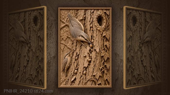 Nuthatch runs head down the trunk 3d STL model