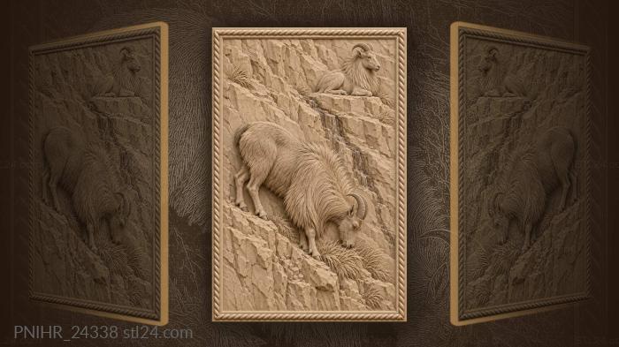 Tahr crops grass above sheer drop 3d STL model