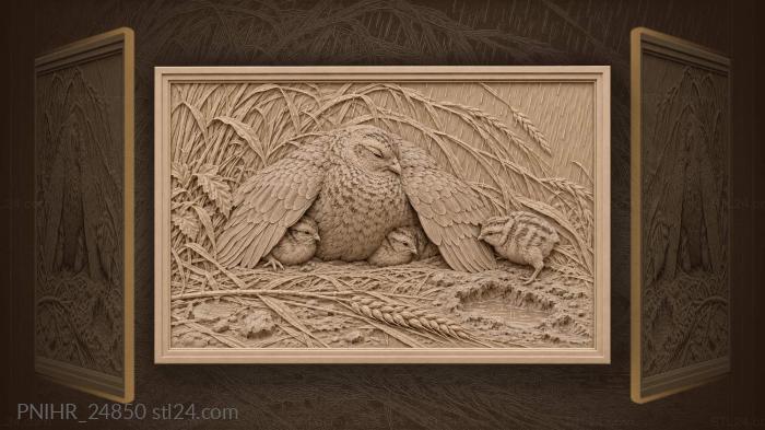 Partridge hen with sheltering chicks rain 3d STL model