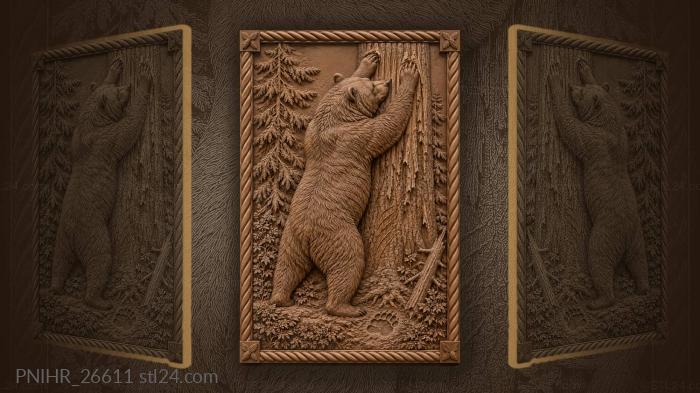 Bear scratches against ancient spruce 3d STL model