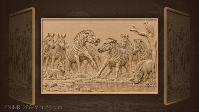 Zebras at dwindling waterhole conflict 3d STL model
