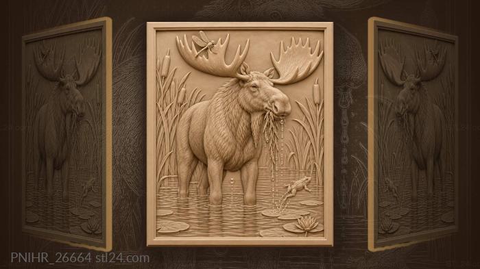Moose chews water plants among lilies 3d STL model