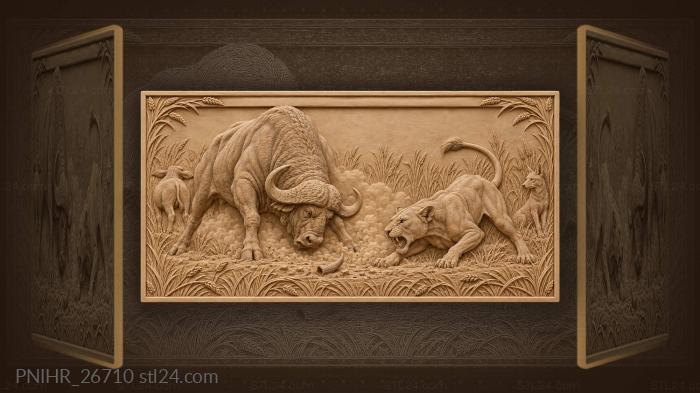 Buffalo challenge lioness savanna drama 3d STL model