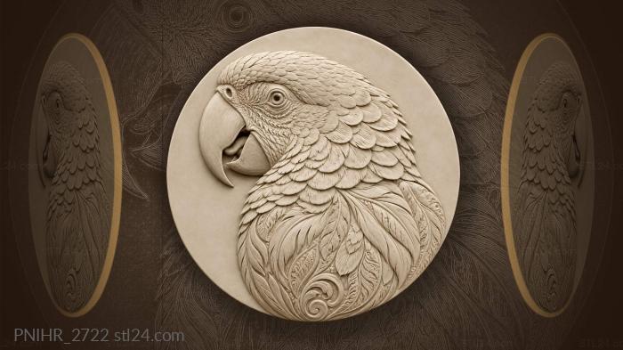 Tropical parrot head detailed feathers 3d STL model