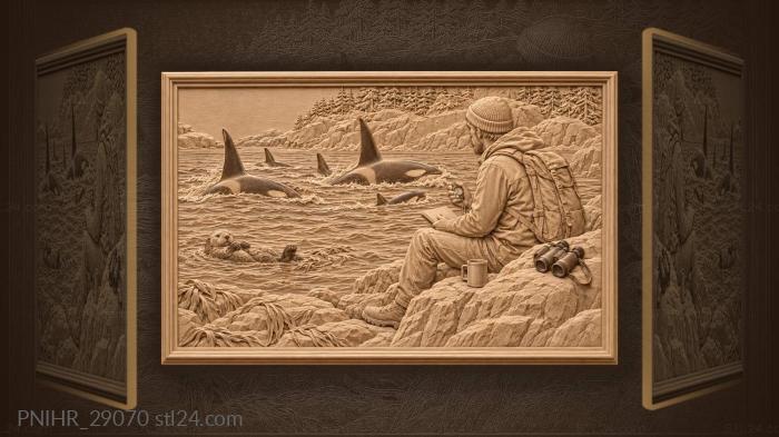 Naturalist records passing orcas 3d STL model