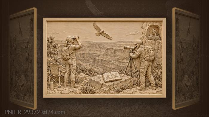 Canyon watchers peregrine and hawk 3d STL model