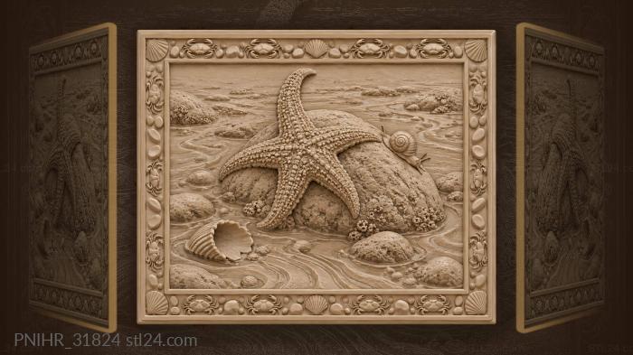 Starfish climbs as snail descends 3d STL model