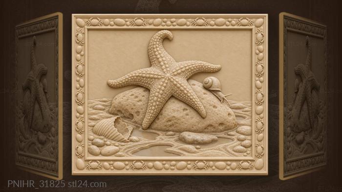 Ebbing tide recounts the starfish journey 3d STL model