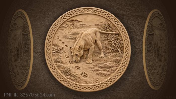 Hunting lioness follows prints past thorn bush 3d STL model
