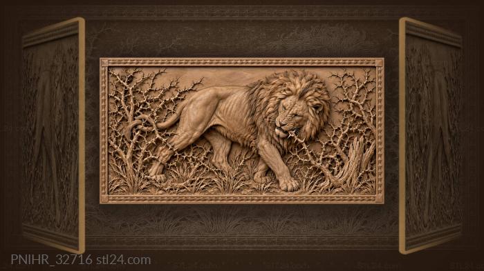 Old lion tears free from thorn scrub 3d STL model