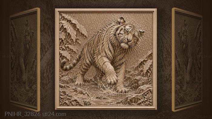 Soaked tiger shakes droplets from his ruff 3d STL model