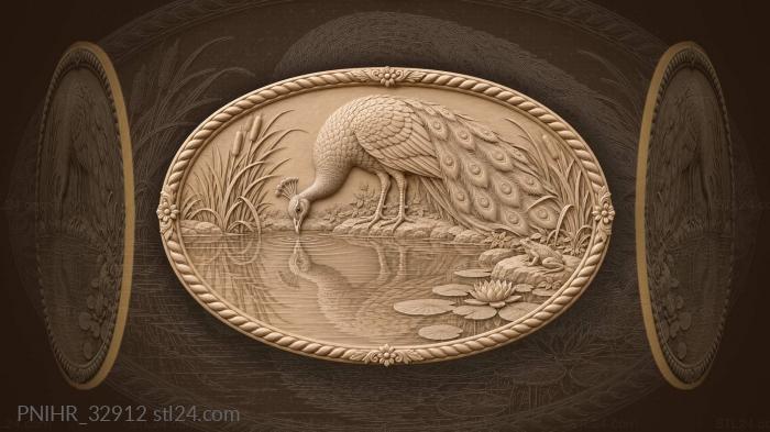 Peacock bends toward frog pond 3d STL model