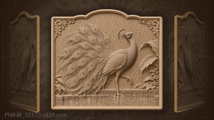 Peacock shakes summer rain from crest 3d STL model