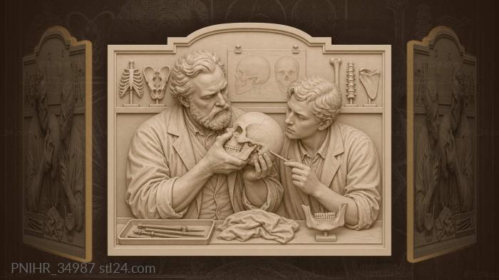 Anatomical study with skull and student 3d STL model