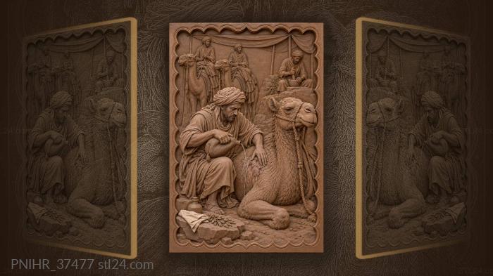 Camel care under desert sun 3d STL model