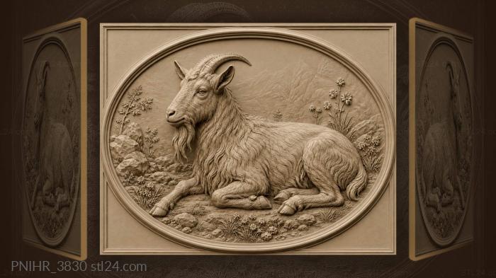 Goat pauses from grazing in the meadow 3d STL model