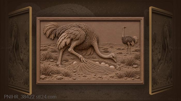 Ostrich nesting in the desert 3d STL model