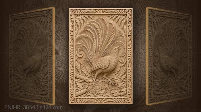 Lyrebird displaying in forest setting 3d STL model