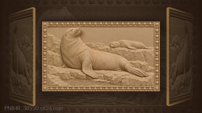 Sea lion resting on rocks 3d STL model