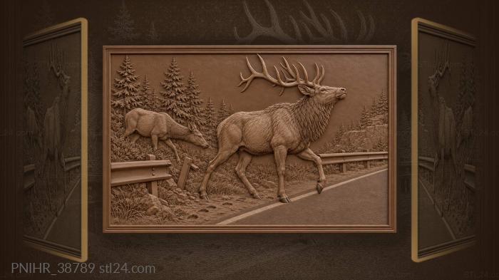 Cow elk follows bull through broken barrier 3d STL model