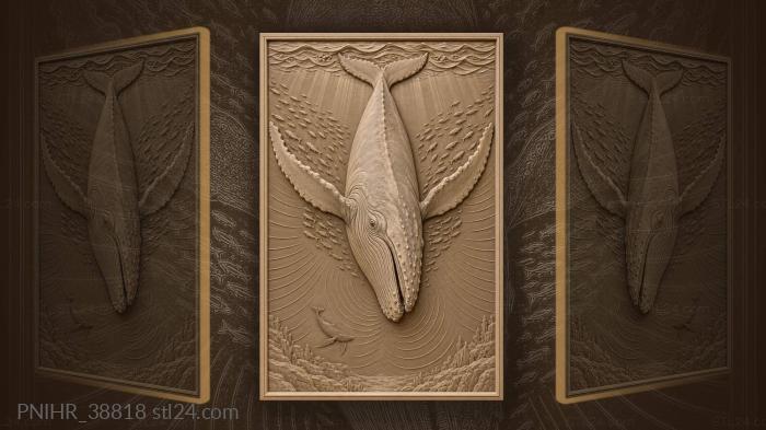 Singing humpback whale ocean song 3d STL model