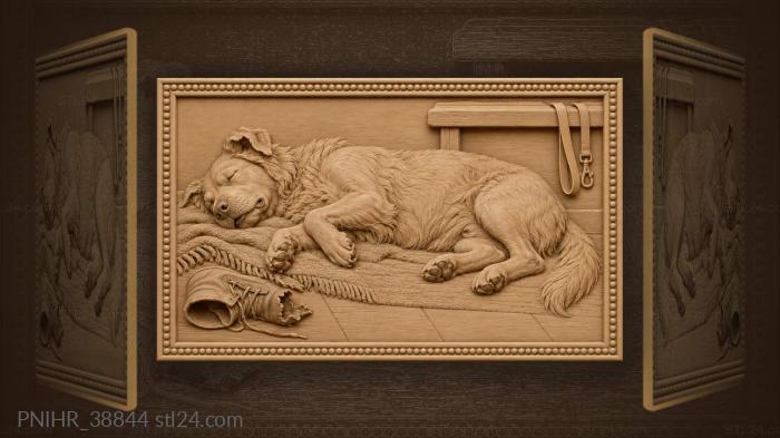 Dreaming dog peaceful rest sleep 3d STL model