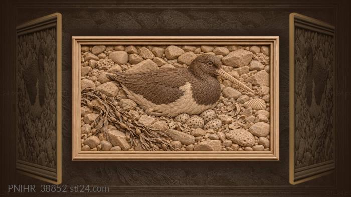 Oystercatcher nest on pebble beach 3d STL model