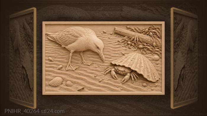 Crab shell gull and sea ripples 3d STL model