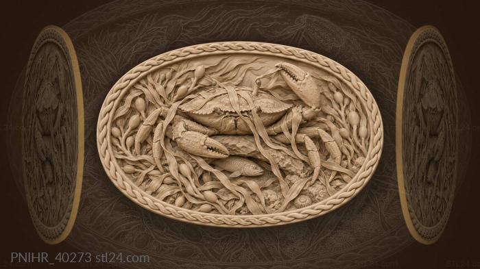 Crab among seaweed and small fish 3d STL model