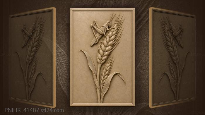 Grasshopper grips the barley awns above 3d STL model