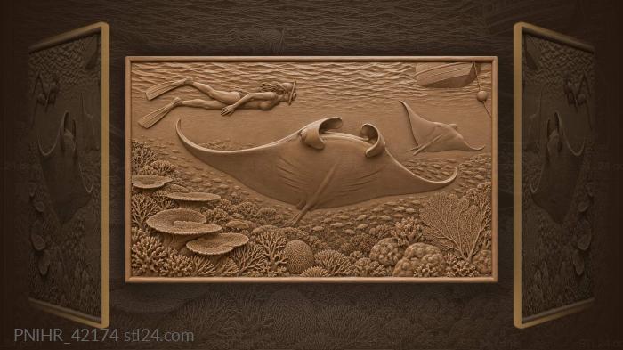 Manta and swimmer over coral bed 3d STL model