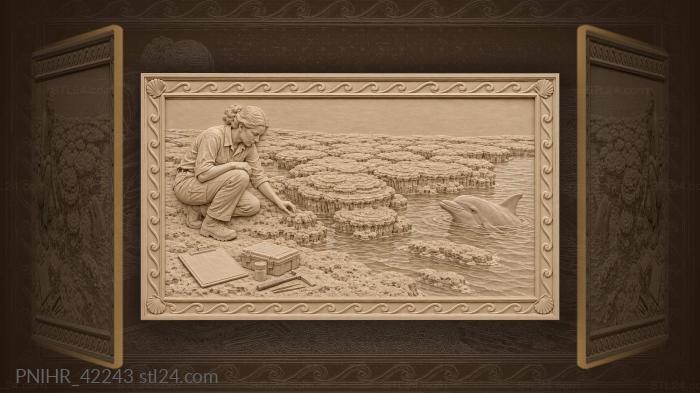 Shark bay stromatolites dolphin researcher water 3d STL model