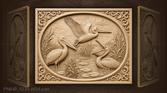 White pelican among reeds and water 3d STL model