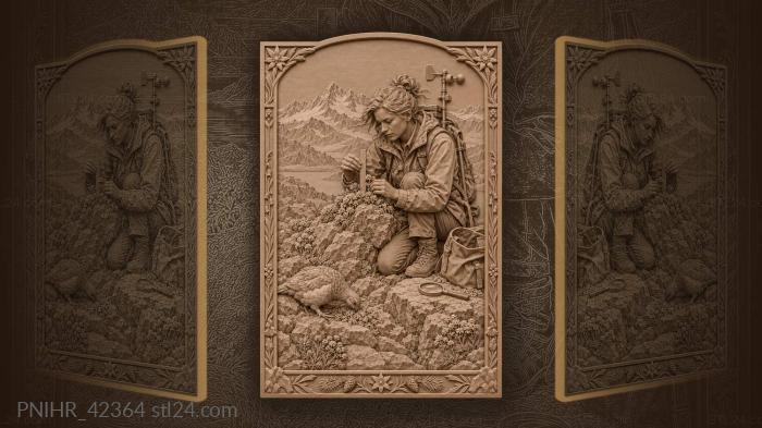 Botanist studies alpine cushion plant 3d STL model