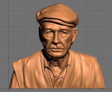 Portrait (Portrait of an old man, PRT_0055) 3D models for cnc