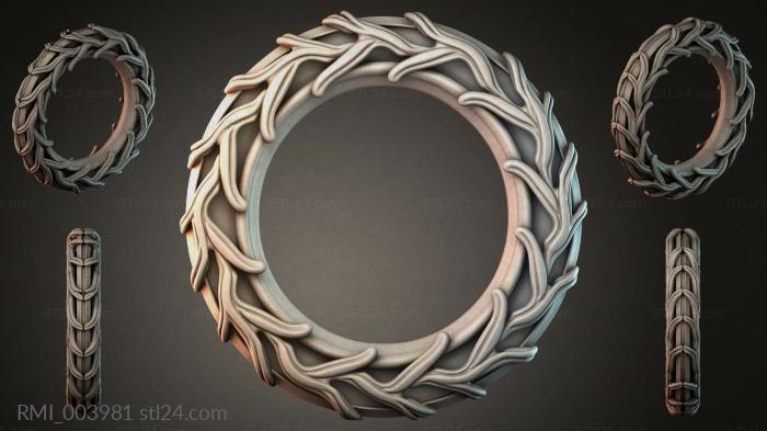 RMI_003981 3d STL model