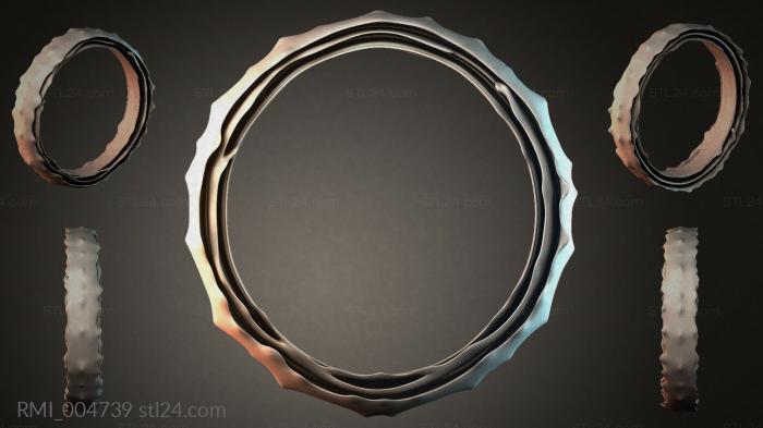 RMI_004739