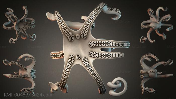 RMI_004897