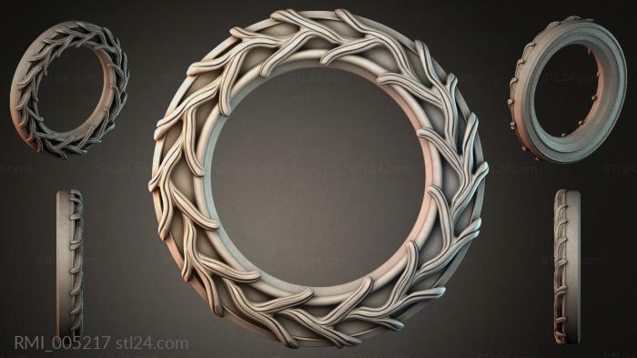 RMI_005217