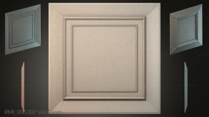 RMI_005307 3d STL model