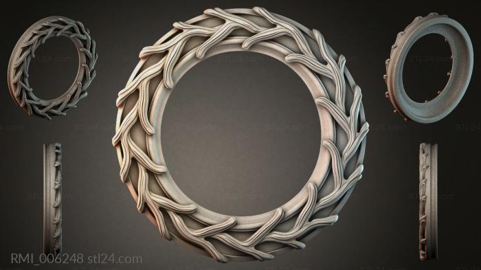RMI_006248 3d STL model