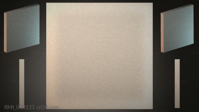 RMI_013123
