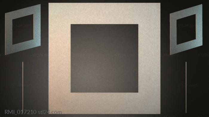 RMI_017210