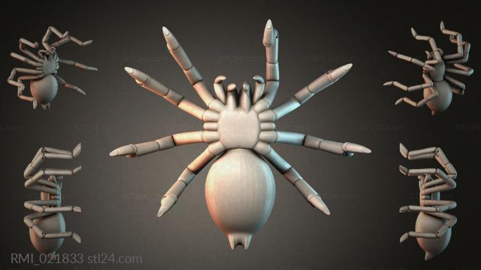 RMI_021833