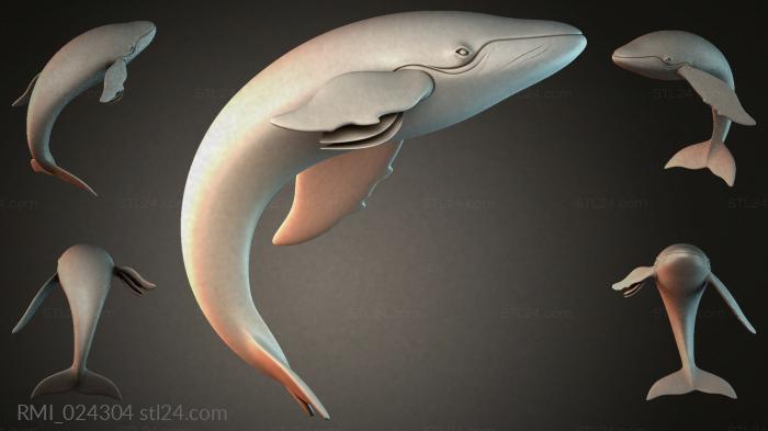 RMI_024304