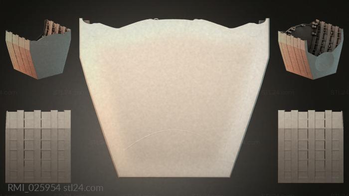 RMI_025954 3d STL model