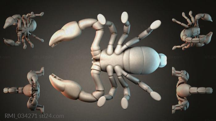 RMI_034271