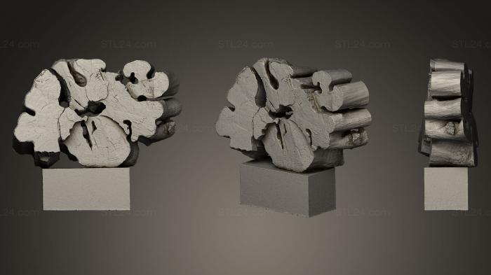 Stones and shells (CLOUD OLEH KAPUSTYAK_2, ROCKS_0004) 3D models for cnc